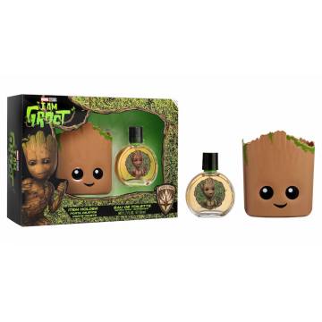 Coffret Groot